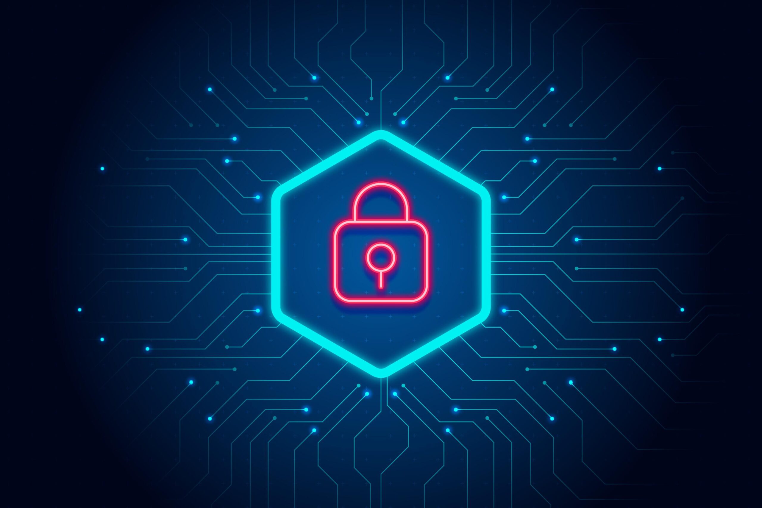 How Businesses Can Protect Their Data